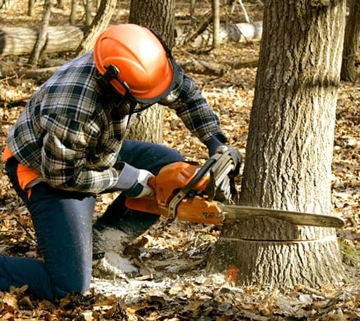 Tree Removal in Kiefer, OK